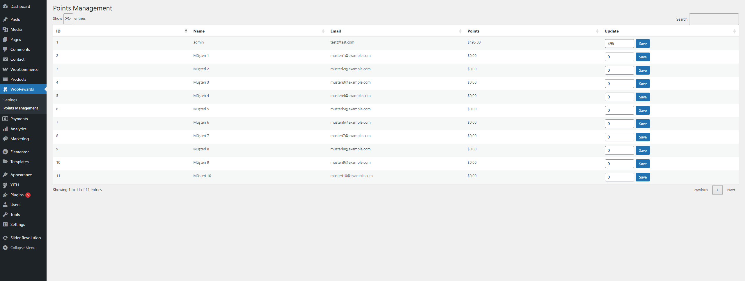 Customer Points Page